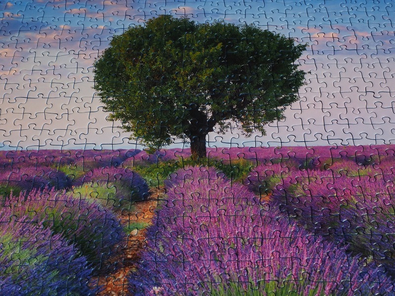 machtwort-blog-customer-journey-puzzle-geloest