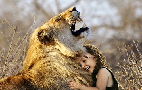 machtwort-marketing-blog-lion