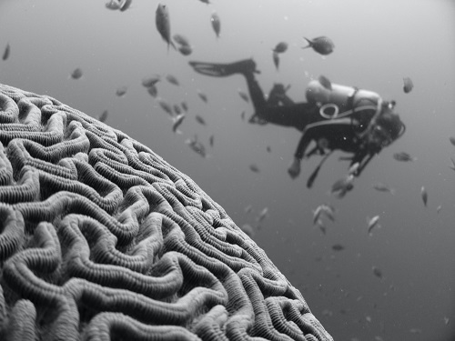 machtwort-marketing-blog-storytelling-wirksam